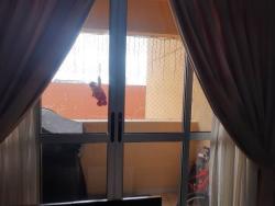 Apartamento para Venda em Osasco - 5