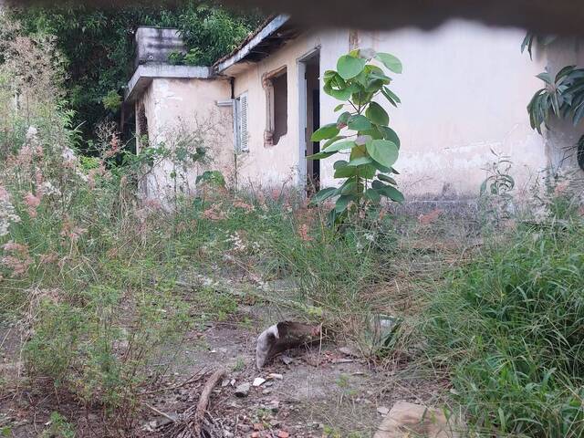 Terreno para Venda em Osasco - 5
