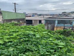 #644MORALES - Área para Venda em Jandira - SP